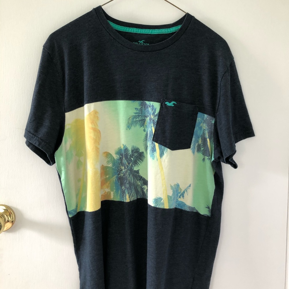 Hollister T shirt